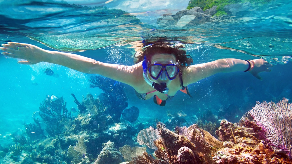 Diving at Hikkaduwa